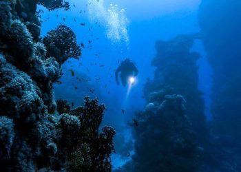 10 Deep Sea Diving Accidents That Will Shiver Your Timbers