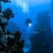 10 Deep Sea Diving Accidents That Will Shiver Your Timbers