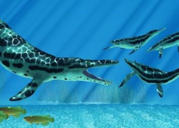 10 Discoveries That Stole the Spotlight in Recent Years