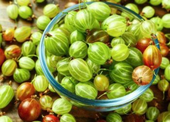 10 Specialty Foods Once Common in America