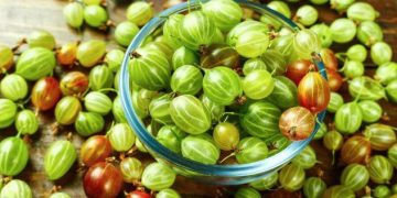 10 Specialty Foods Once Common in America