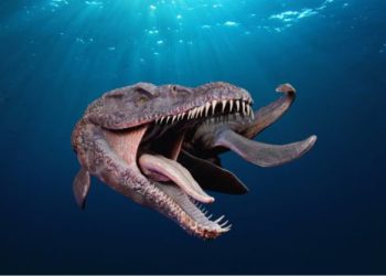 10 Ancient Sea Monsters as Terrifying as Megalodon