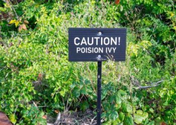 10 Beneficial Plant and Animal Pests